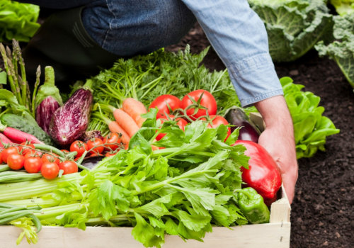 What are the nutritional benefits of eating organic food?